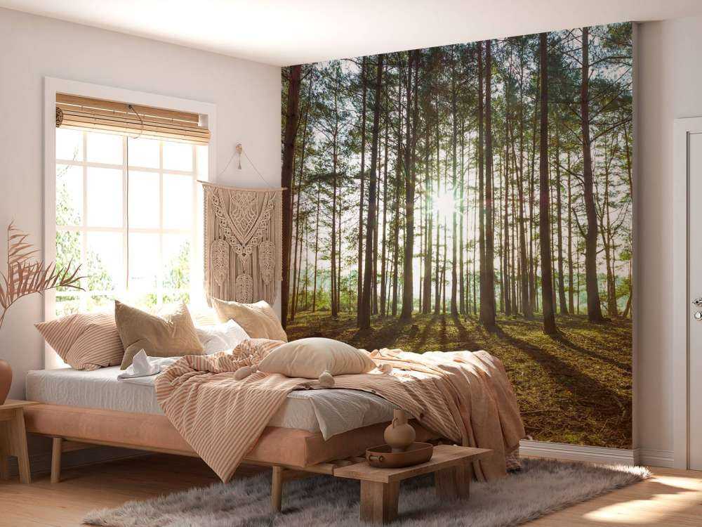 Sun rays through trees