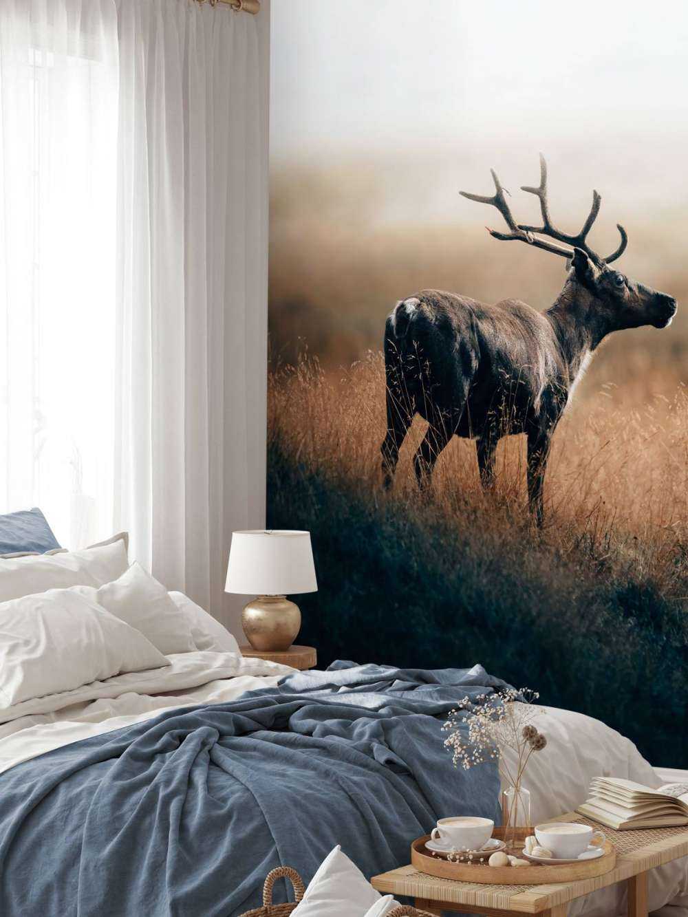 Renne nell'erba alta