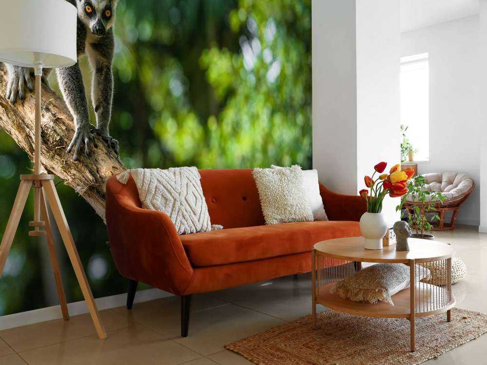 Scimmia dalla coda ad anelli su un albero