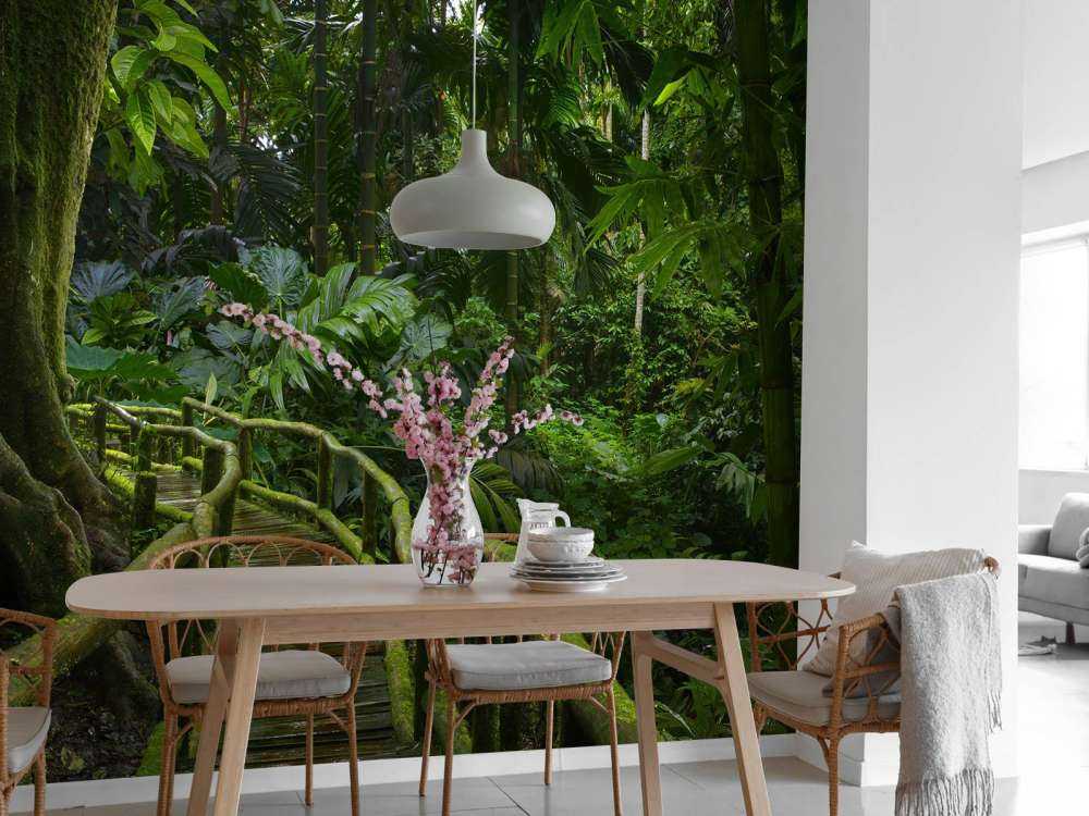 Ponte stretto della giungla