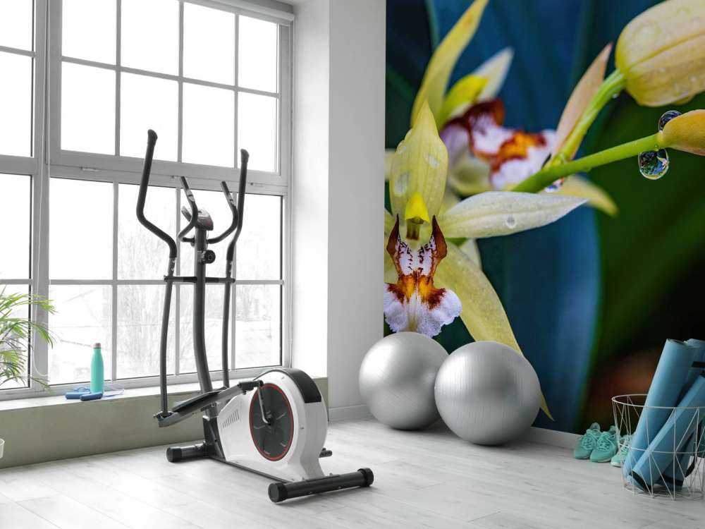 Orchidea gialla selvaggia