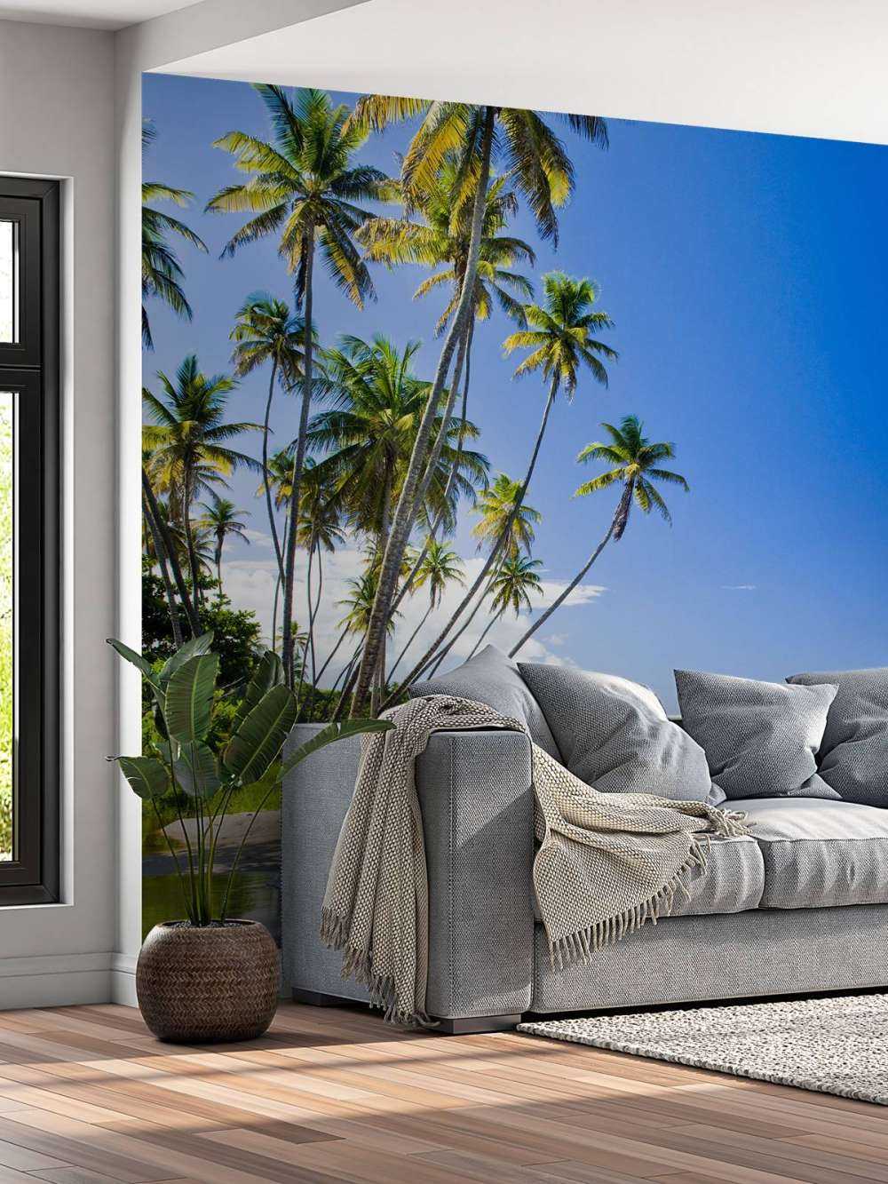 Costa nord di Trinidad