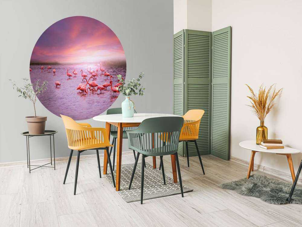 Fenicottero con tramonto