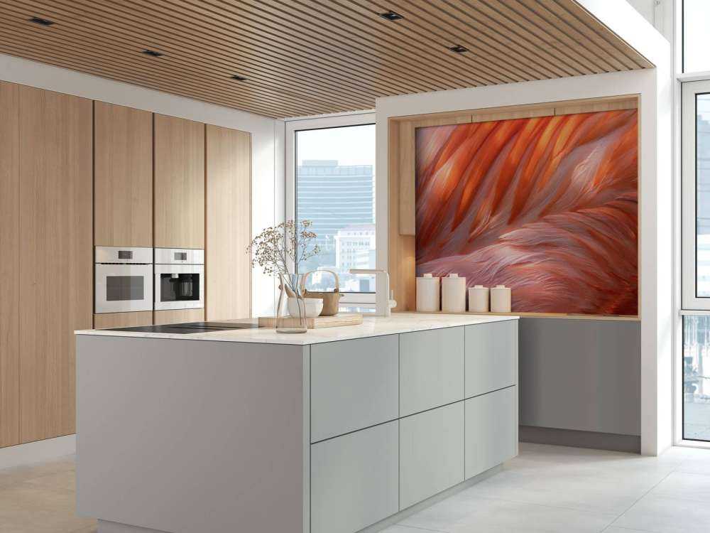 Piume di fenicottero