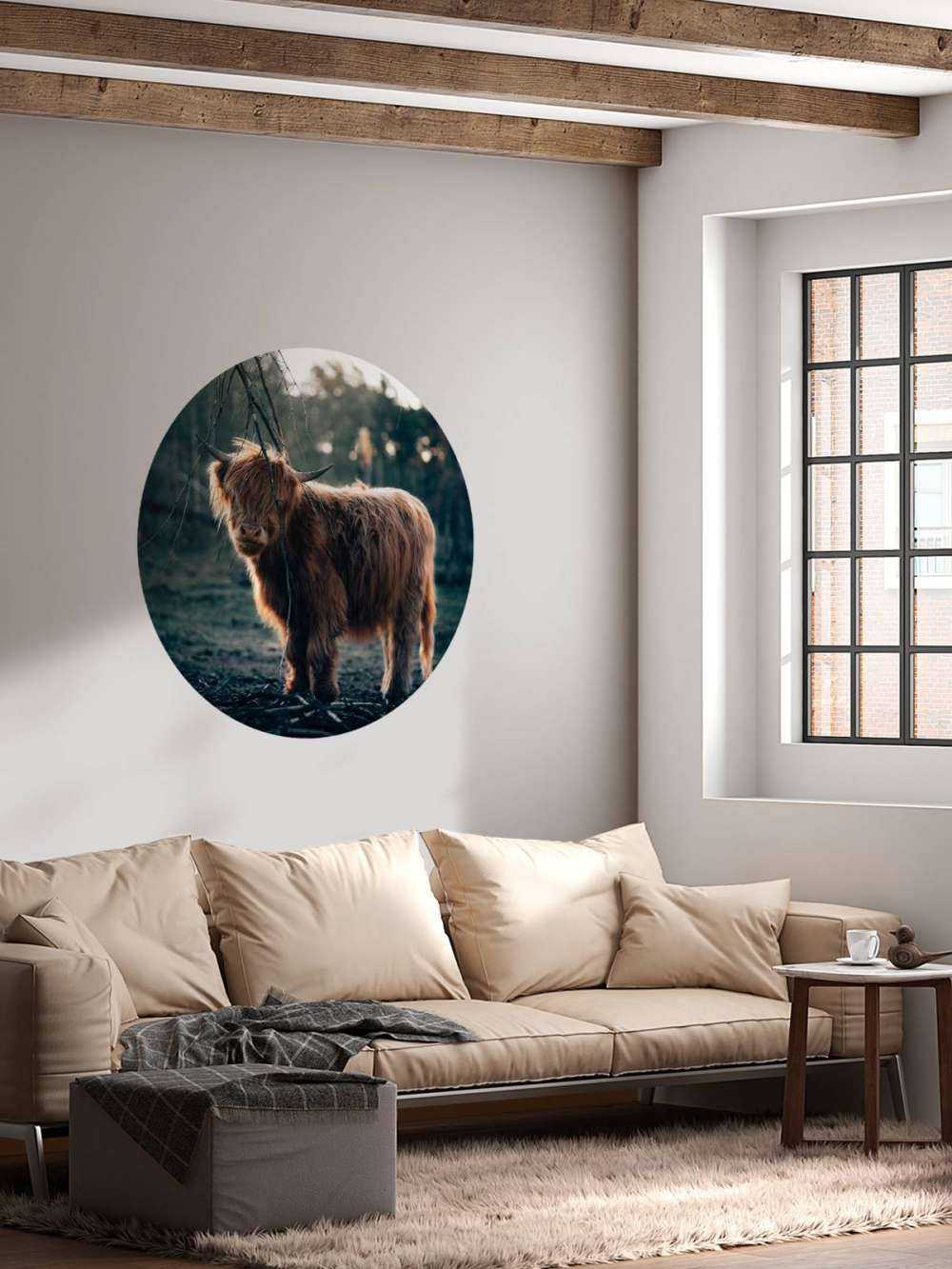 Highlander scozzese ai margini del bosco