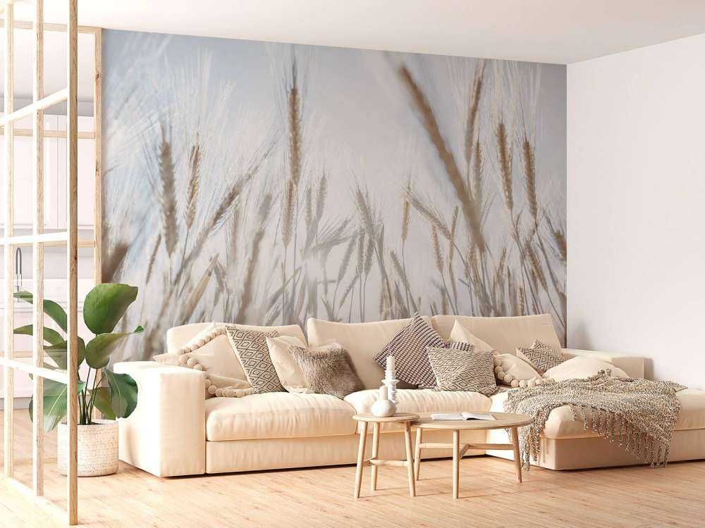 Raggi di sole attraverso il grano