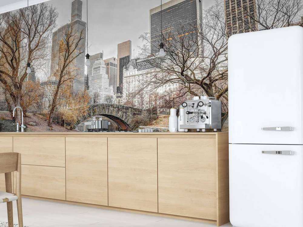 Parco centrale in inverno