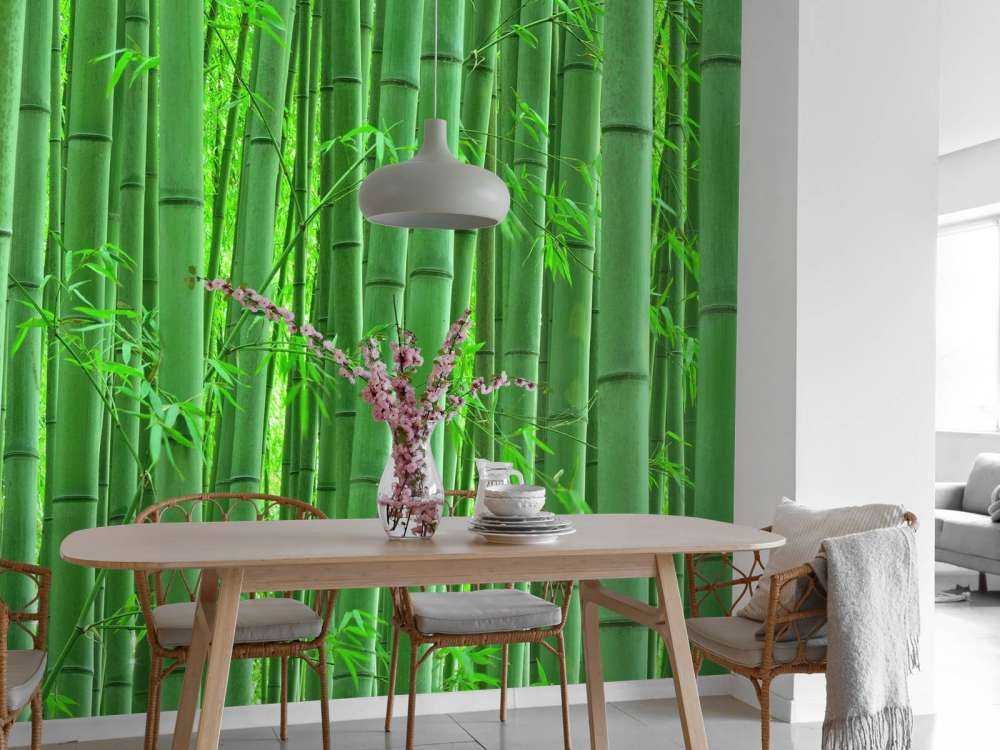 Closeup foresta di bambù