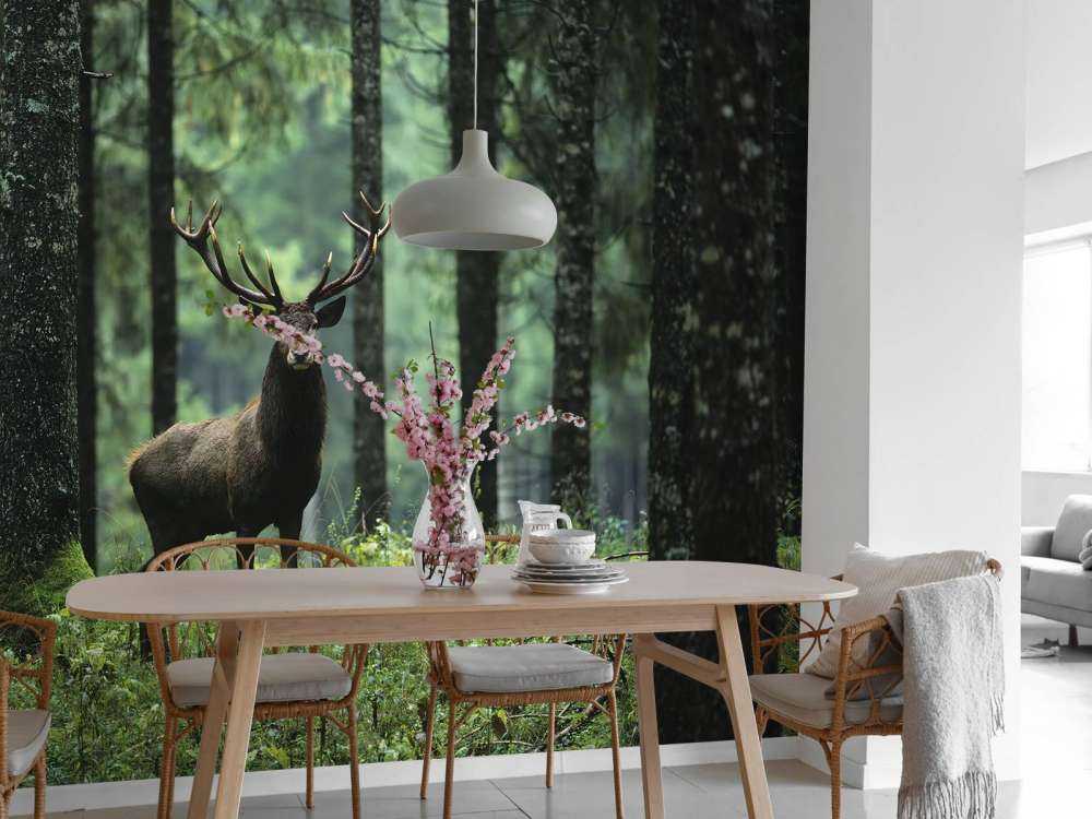 Grande cervo tra gli alberi