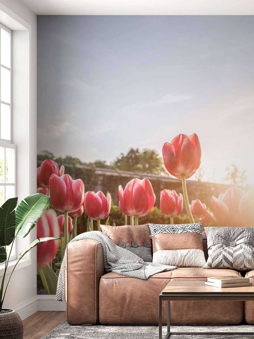 Fiori alla luce del sole