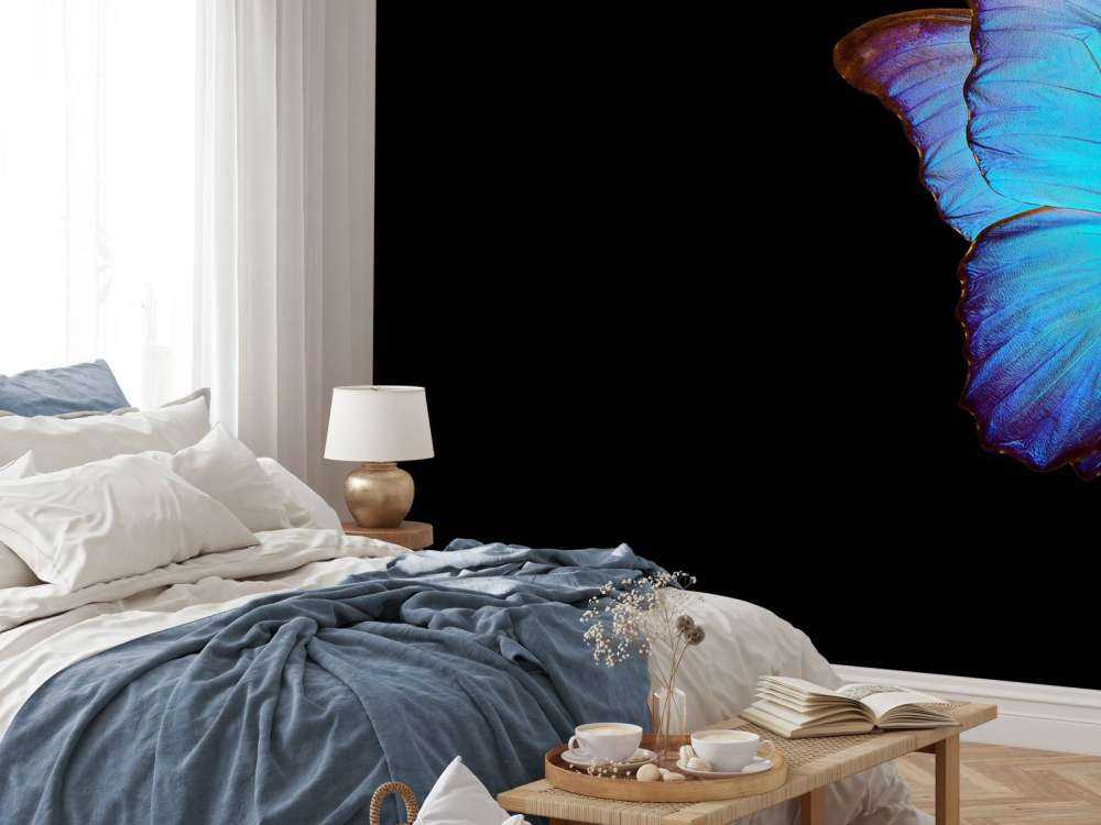 Farfalla su tulipano