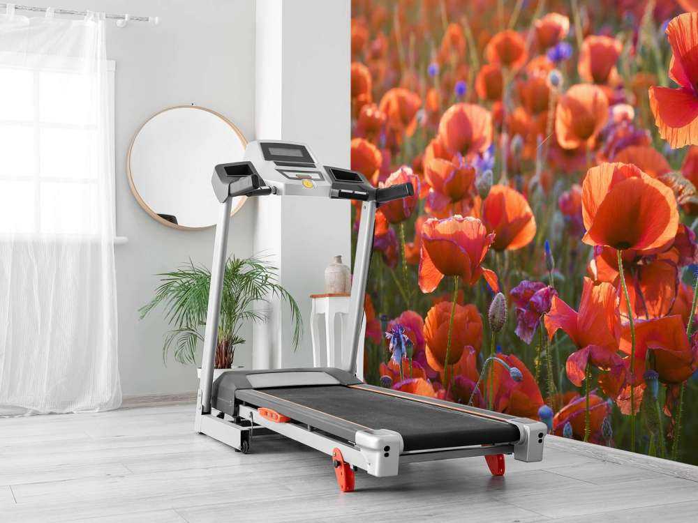 Papaveri alla luce della sera