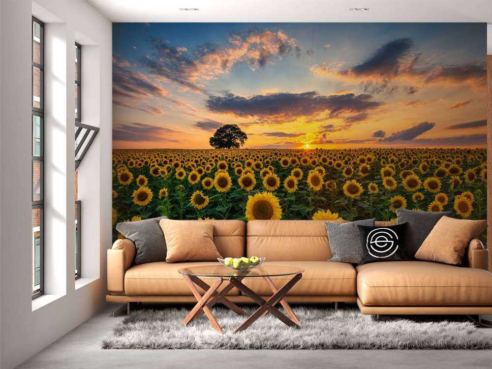 Campo pieno di girasoli