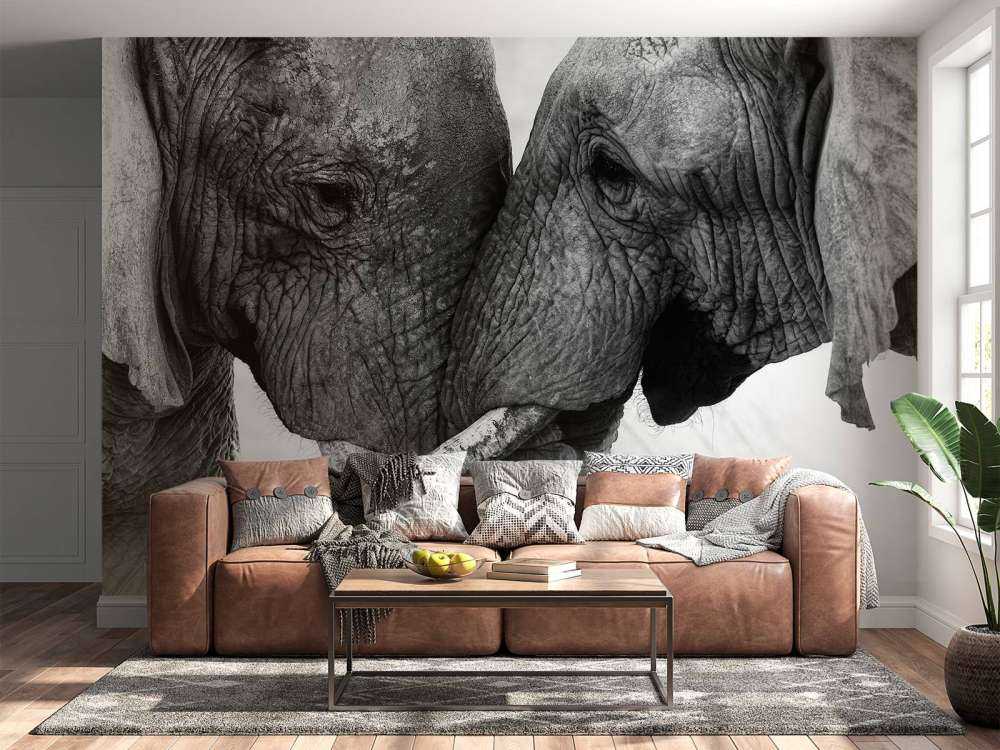 Foto carta da parati elefanti