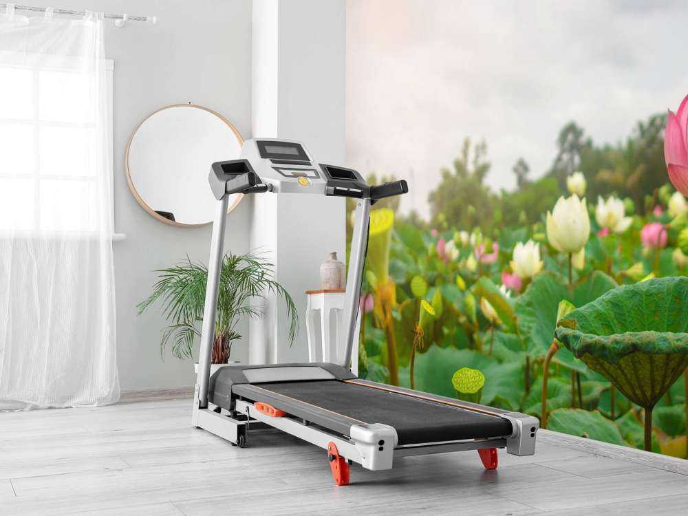 Fiori di loto rosa e bianchi