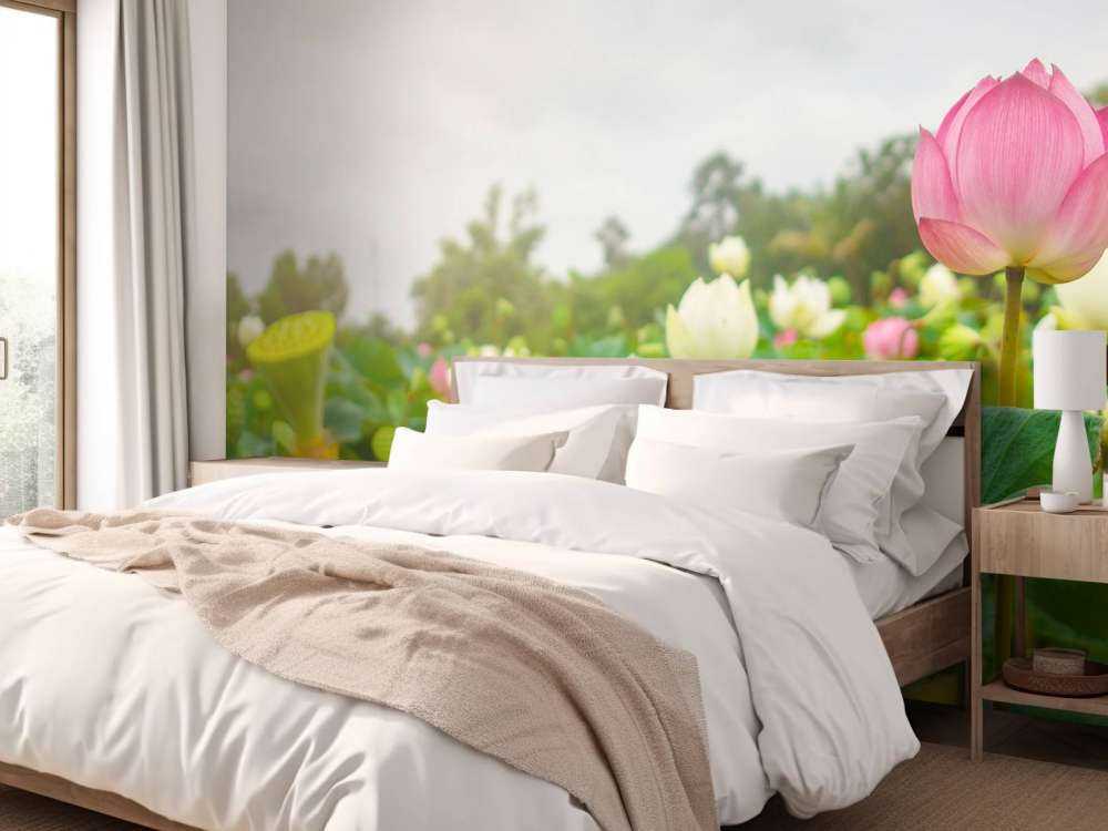 Fiori di loto rosa e bianchi