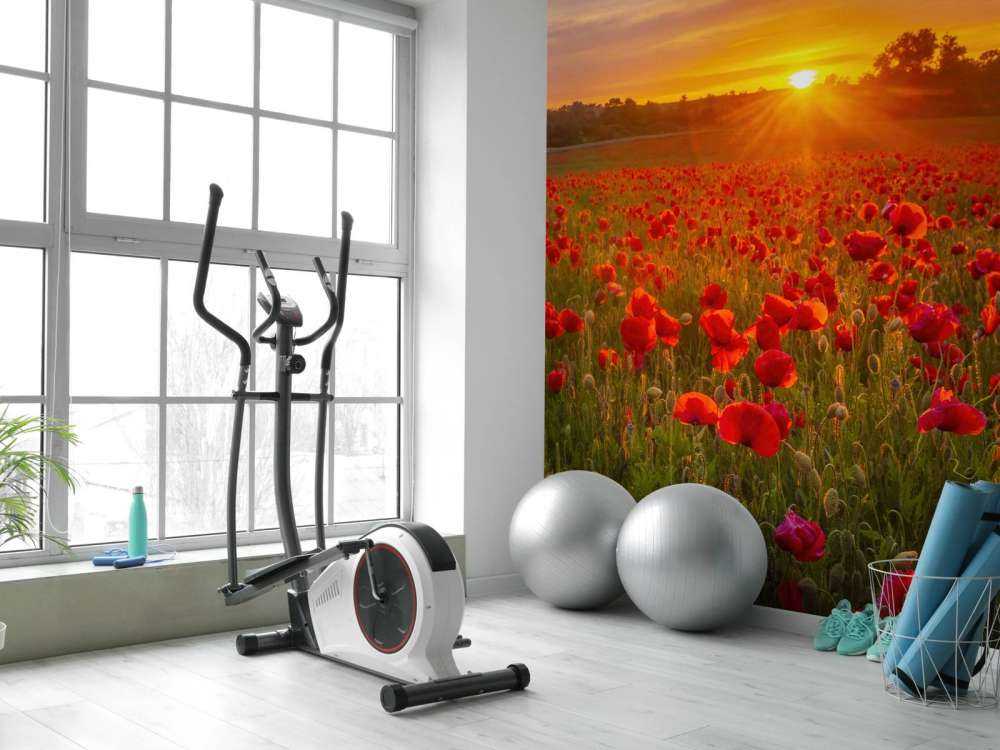 Campo di papaveri in fiore