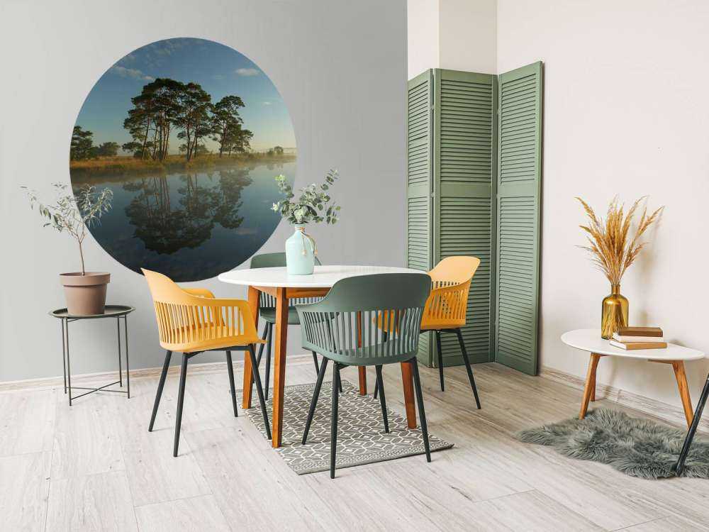 Riflessione nella brughiera