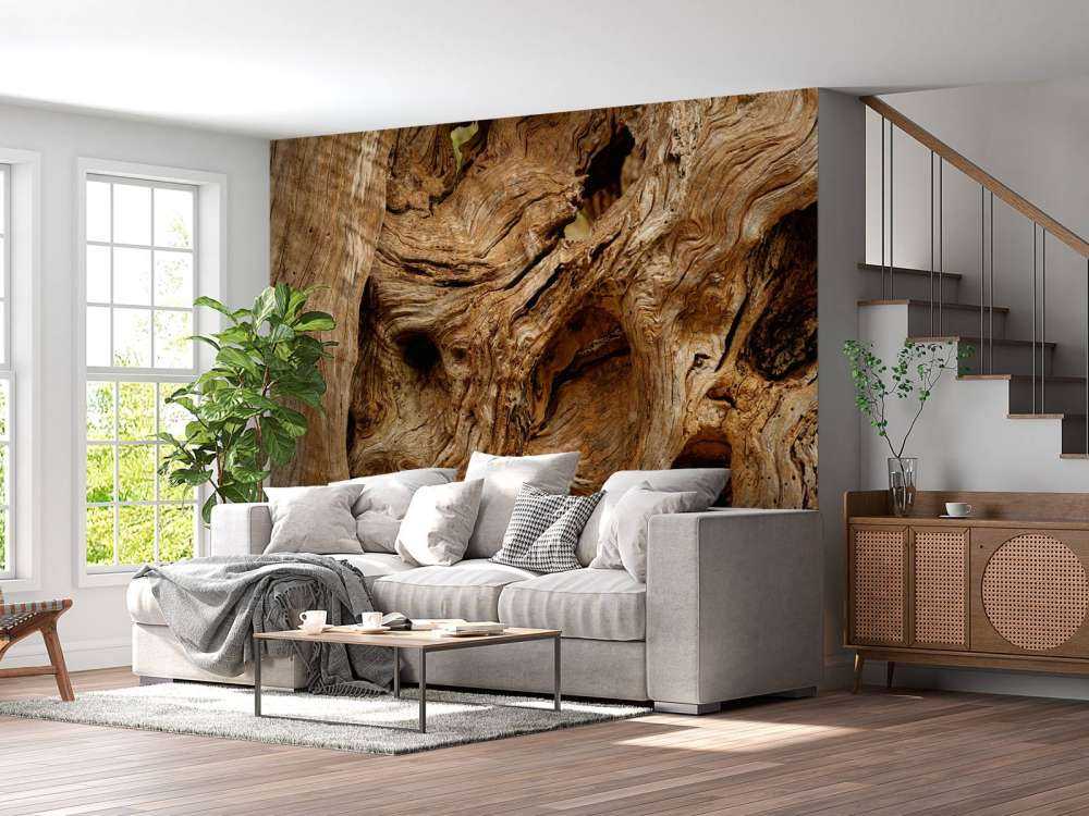 Vecchio albero da vicino