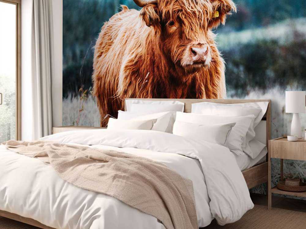 Highlander scozzese nella foresta