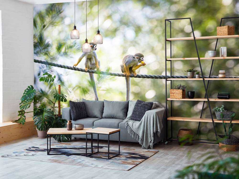 Scimmie scoiattolo su corda