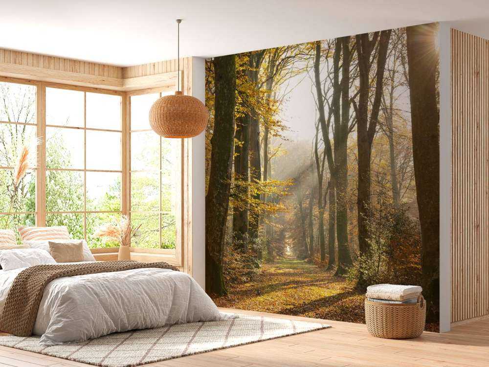 La foresta di Crécy