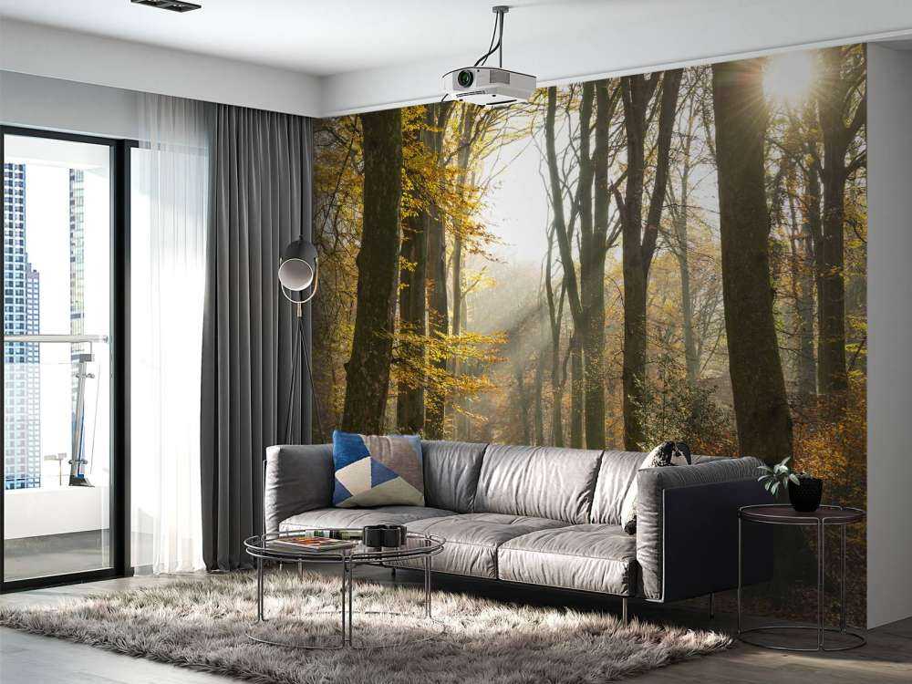 La foresta di Crécy