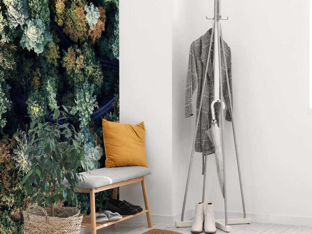 Foresta autunnale dall'alto