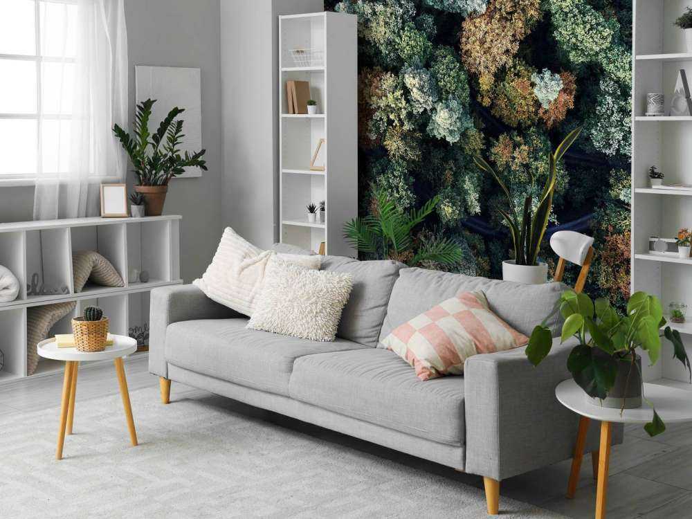 Foresta autunnale dall'alto