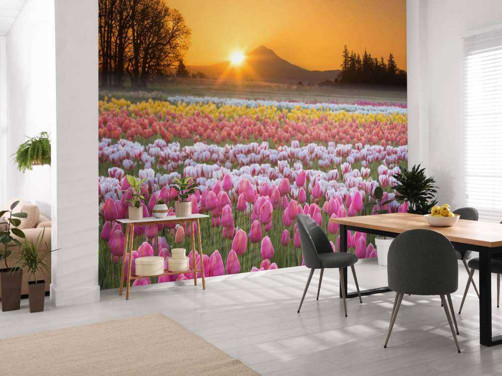 Campo di tulipani colorati