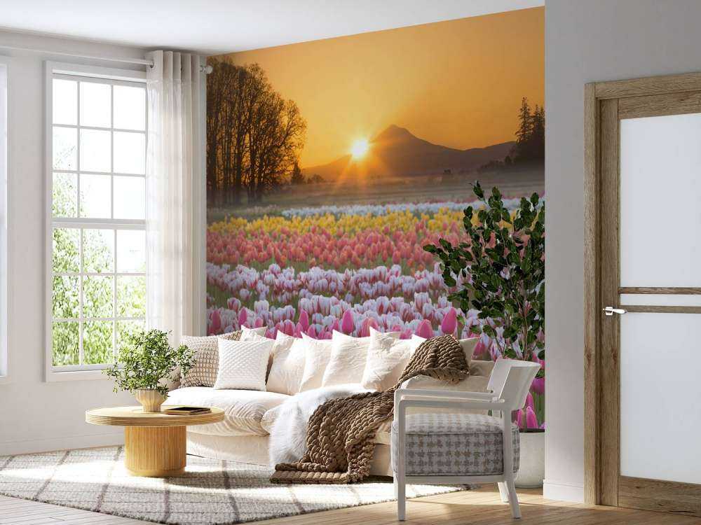 Campo di tulipani colorati