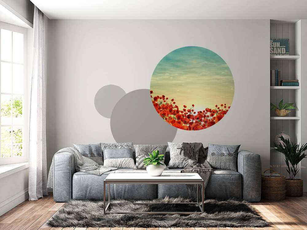 Papaveri con tramonto