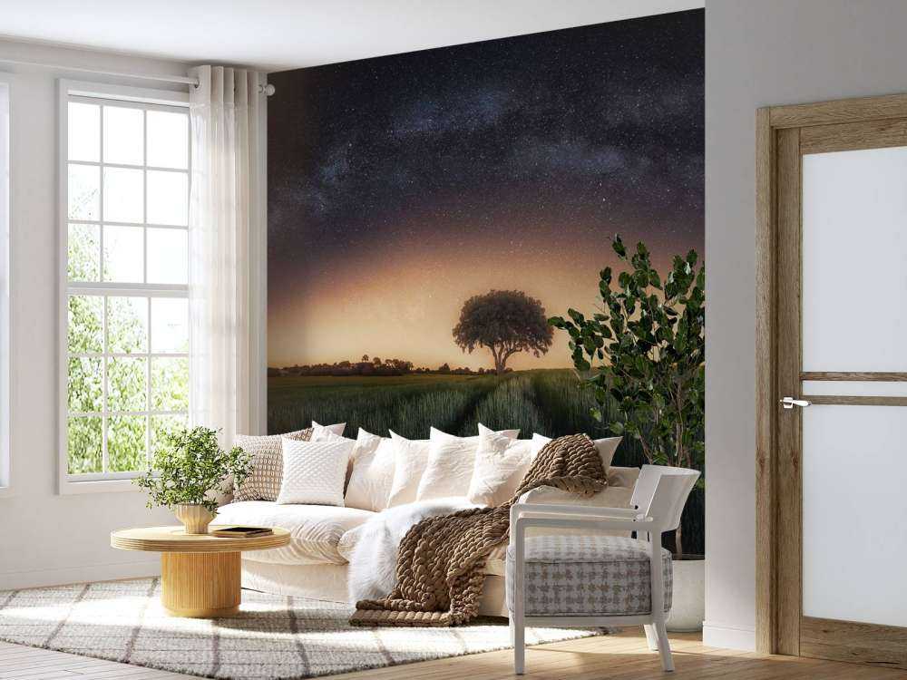 Milky way over lonely tree