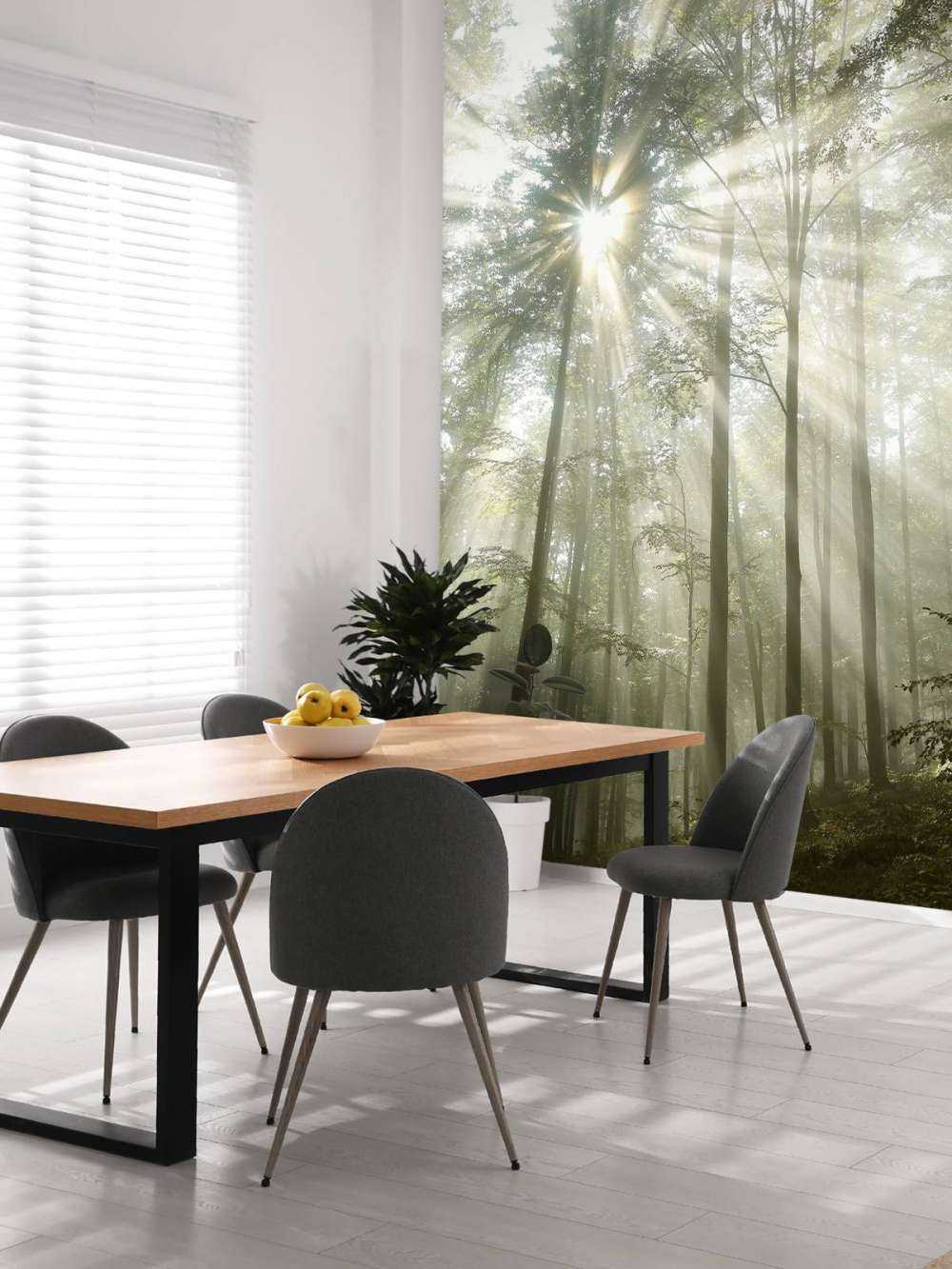 Foresta con la nebbia