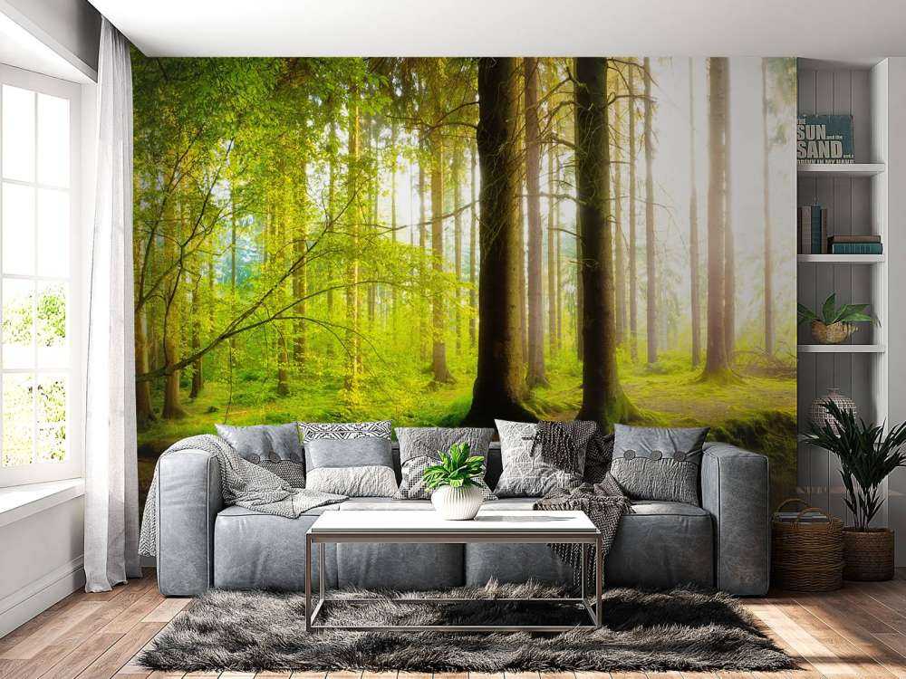 Fresca foresta verde