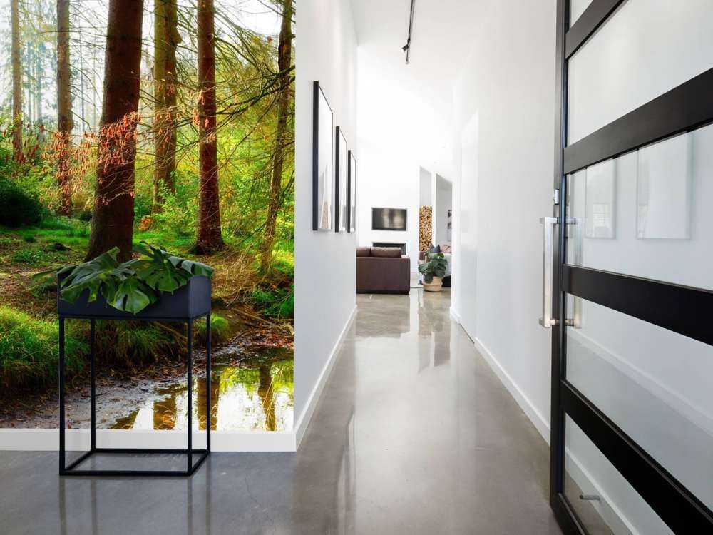 Foresta autunnale con luce solare brillante