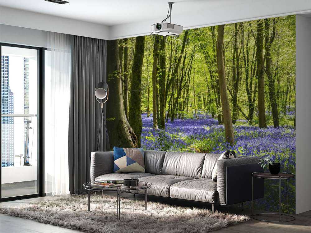 Foresta alla luce del sole