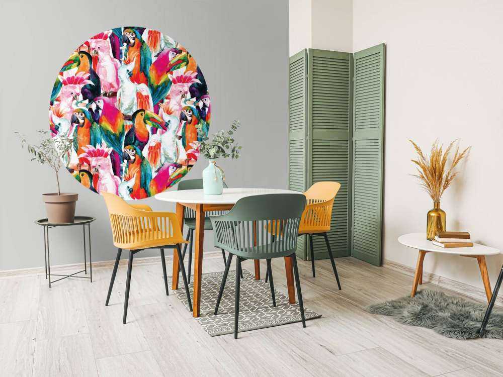 Uccelli dai colori tropicali