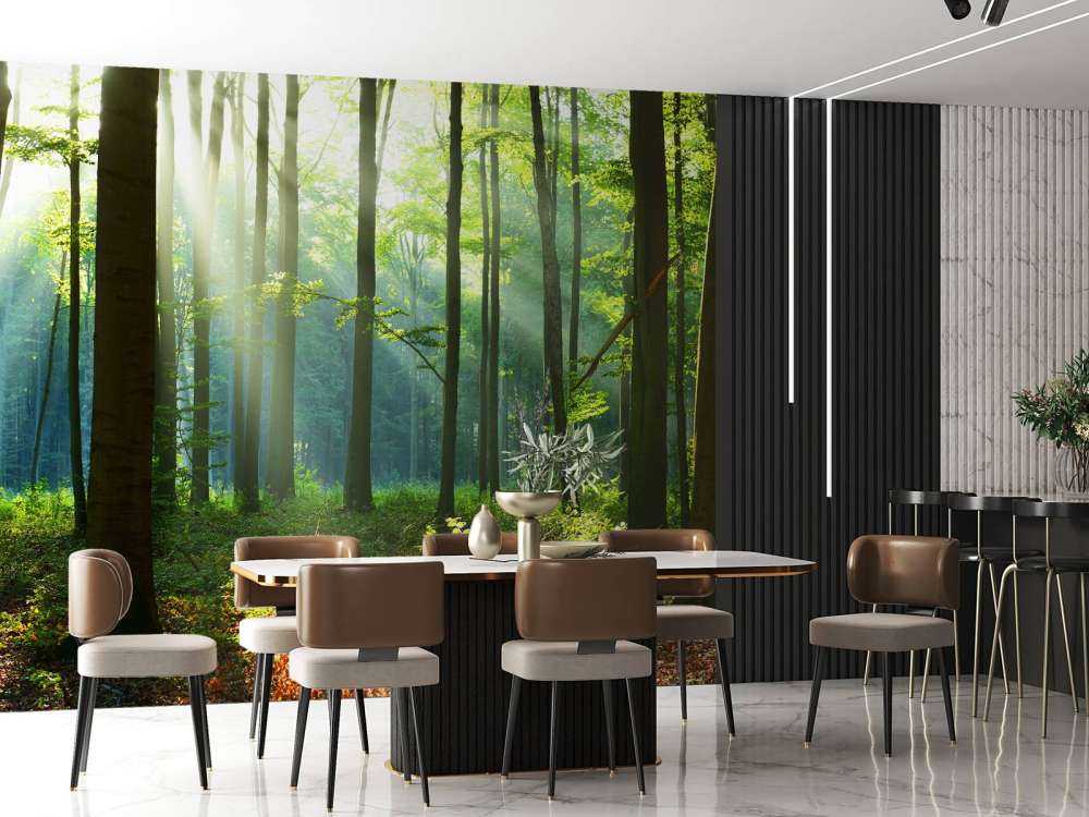 Mattina nella foresta