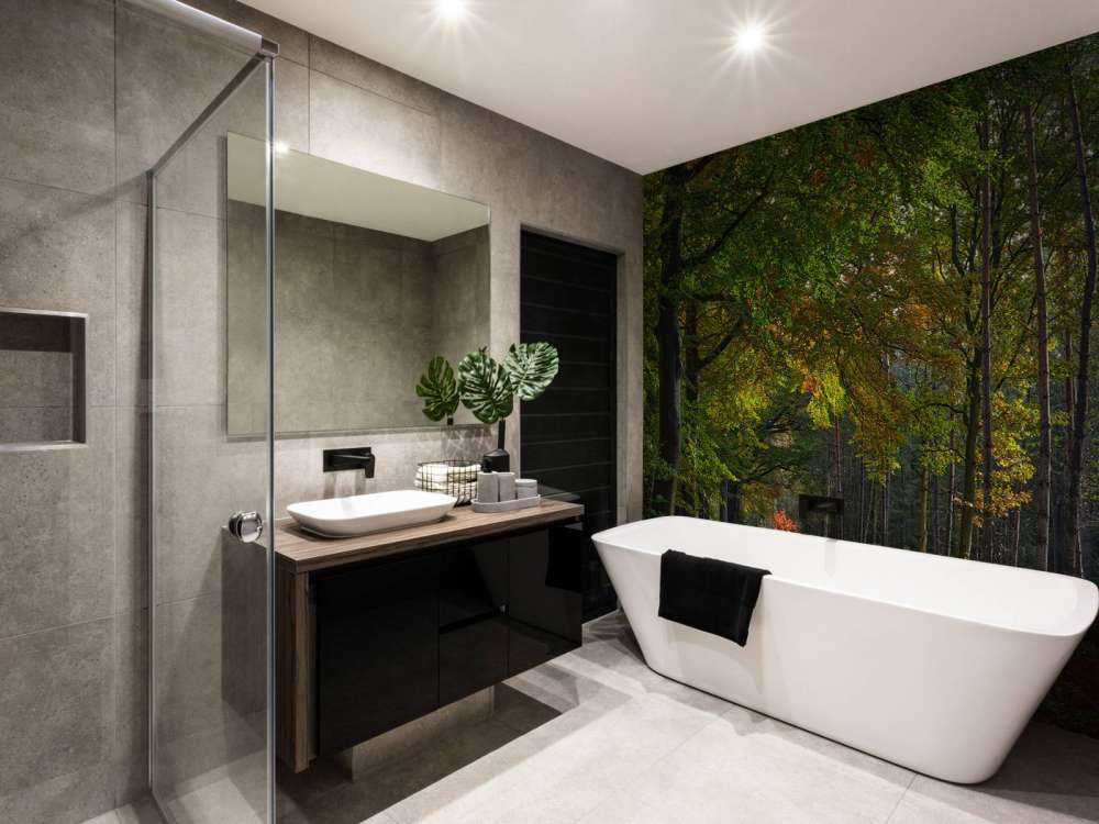 Sentiero con foglie attraverso la foresta