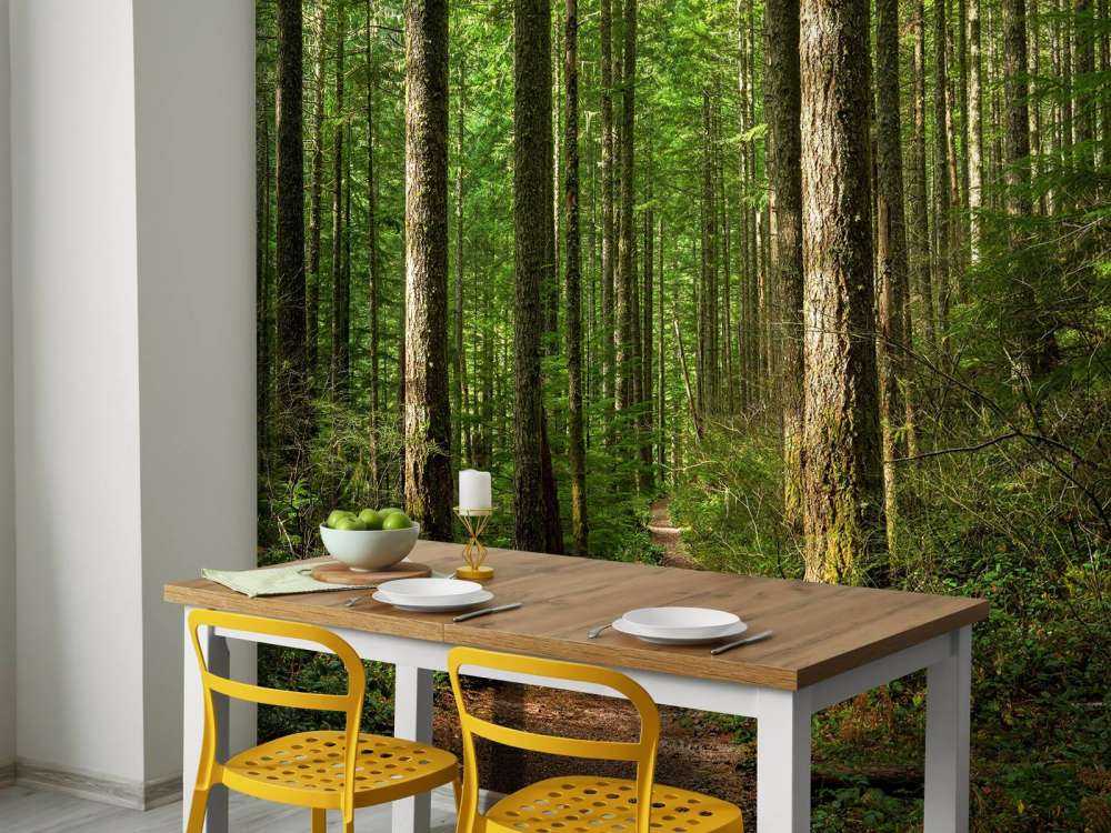 Sentiero nella foresta