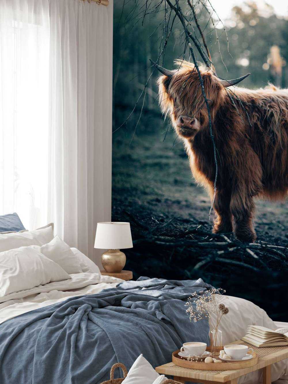 Highlander scozzese ai margini del bosco