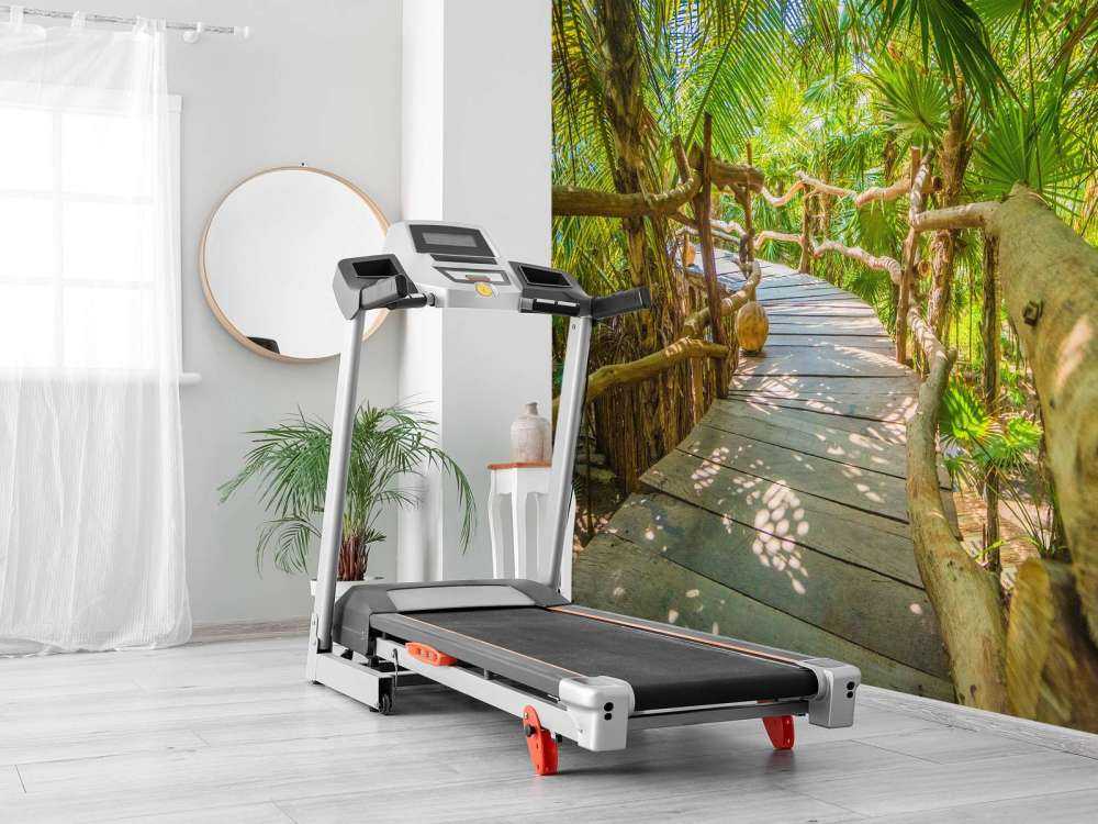 Ponte della giungla tropicale