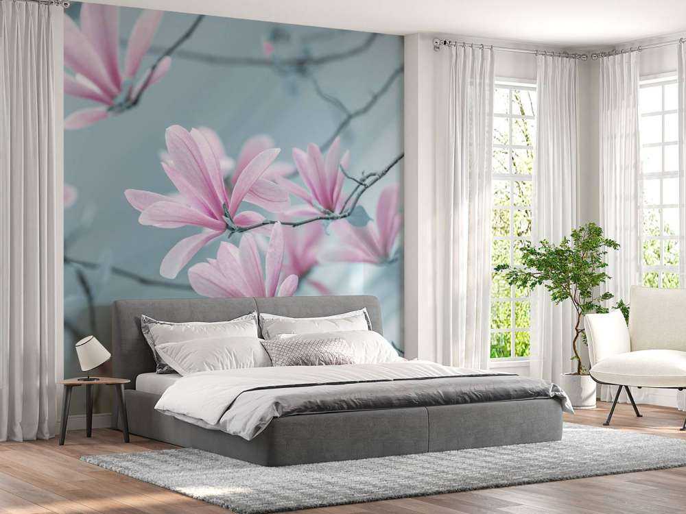 Fiori di magnolia