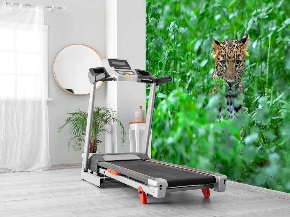 Leopardo nella foresta