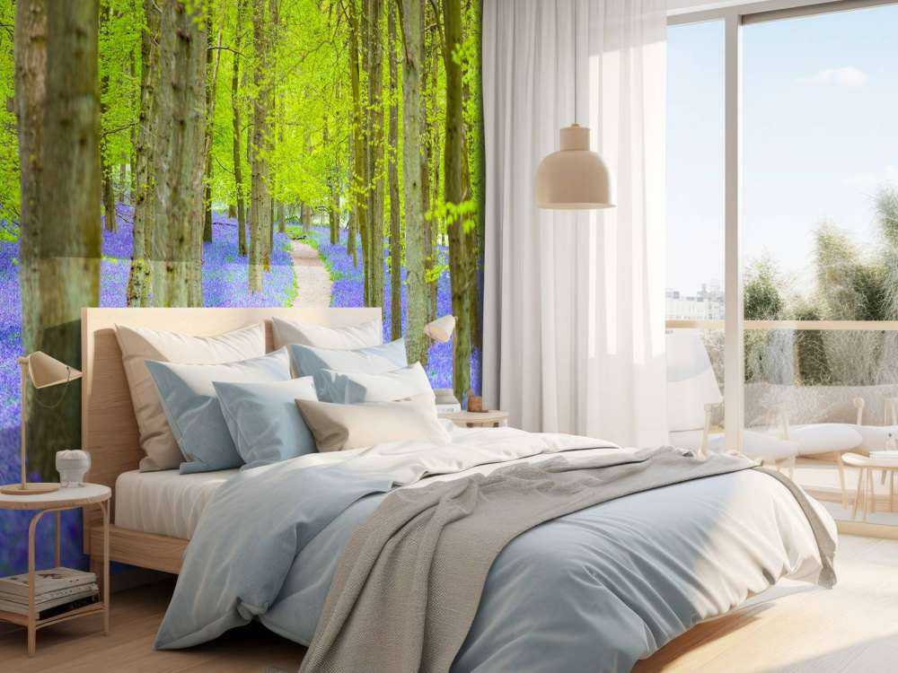 Sentiero delle campanule