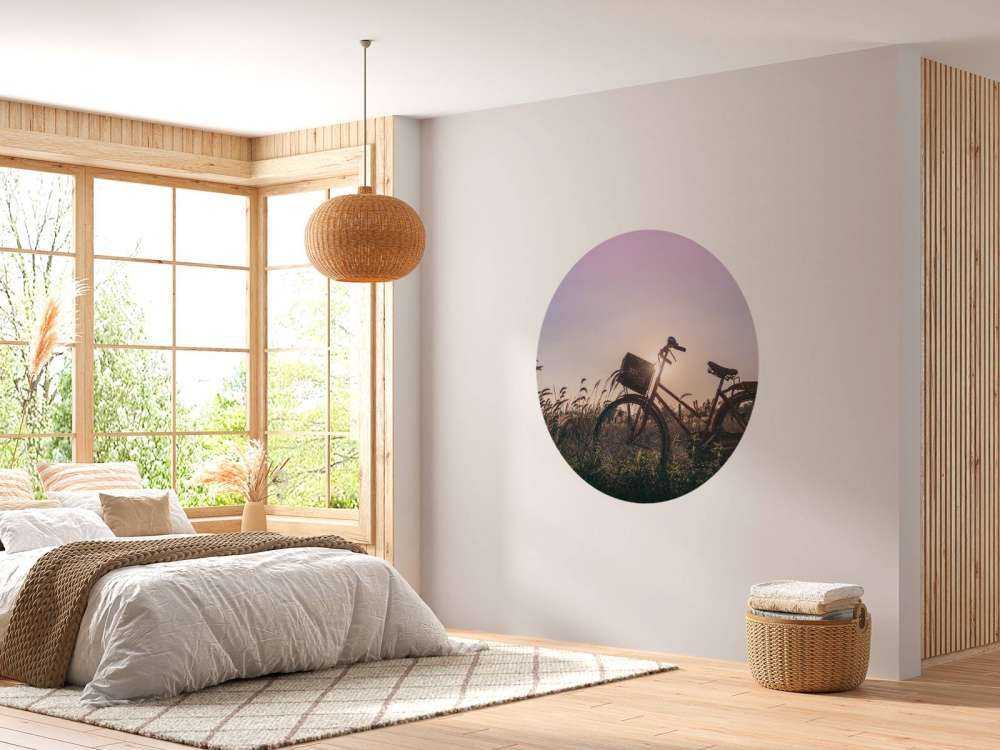 Bicicletta in un campo