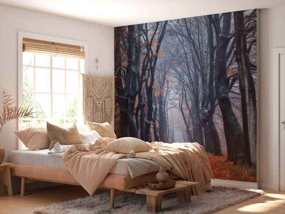 Sentiero forestale con foglie