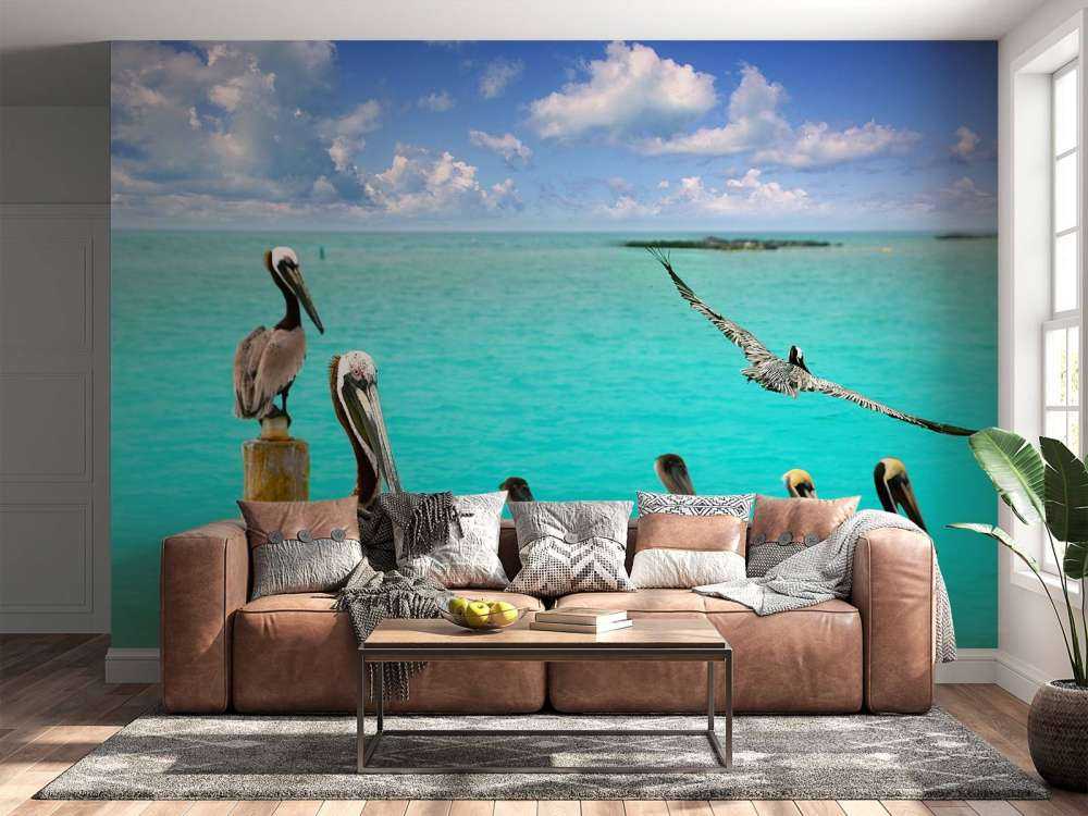 Pellicano dei Caraibi