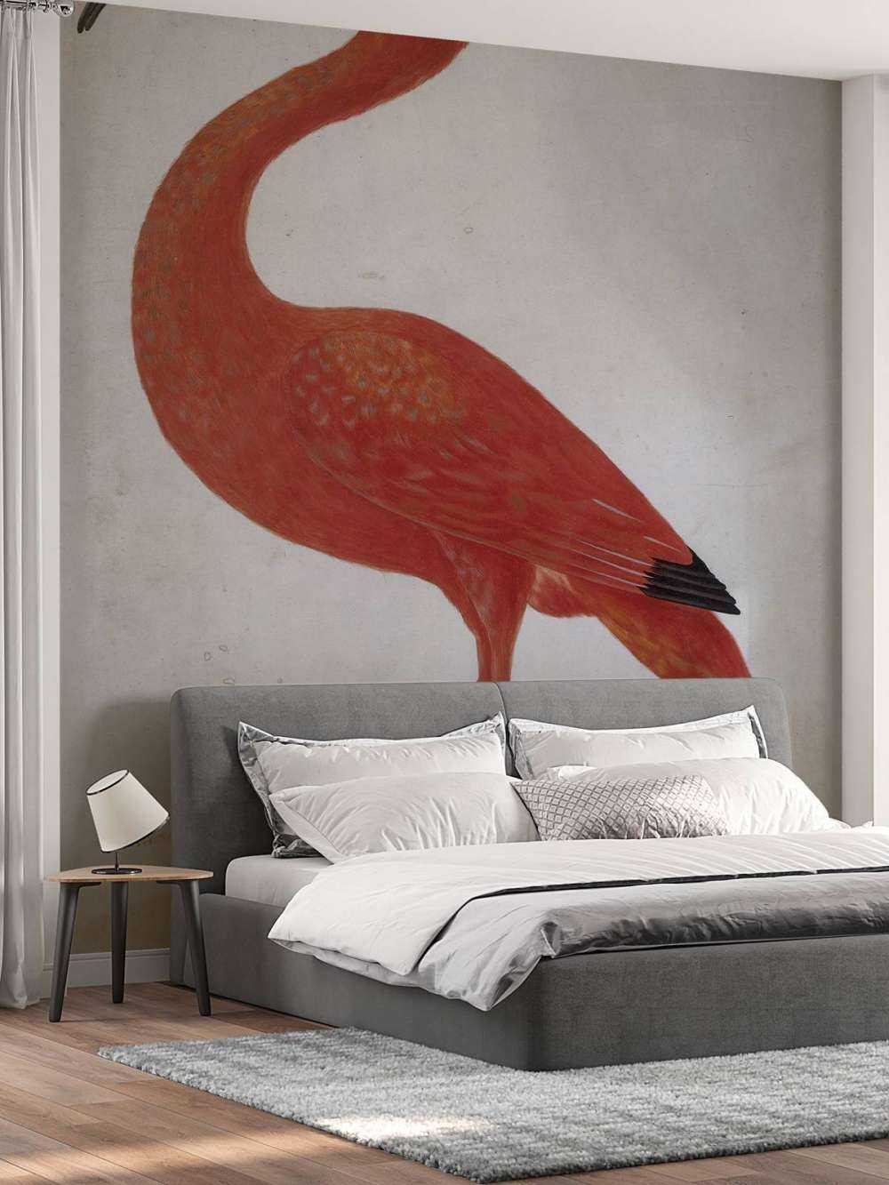 Ibis rosso con uovo